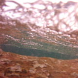 Water; Publicdomain; Cc0; Freeimage;