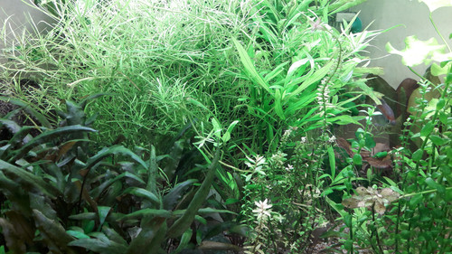 Water; Publicdomain; Cc0; Freeimage;.jpg