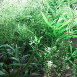 Water; Publicdomain; Cc0; Freeimage;