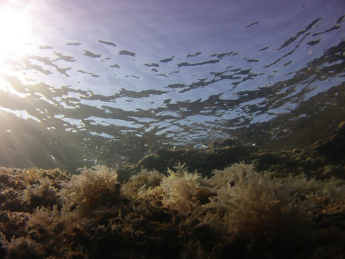 Water; Publicdomain; Cc0; Freeimage;.jpg