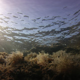 Water; Publicdomain; Cc0; Freeimage;