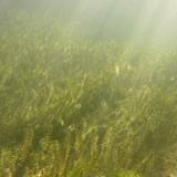 Water; Publicdomain; Cc0; Freeimage;