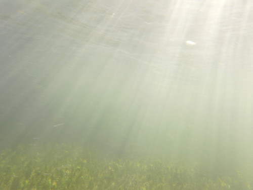 Water; Publicdomain; Cc0; Freeimage;.jpg