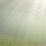 Water; Publicdomain; Cc0; Freeimage;