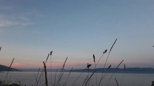 Shore; Publicdomain; Cc0; Freeimage;.jpg