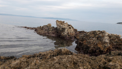 Shore; Publicdomain; Cc0; Freeimage;.jpg