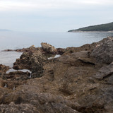 Shore; Publicdomain; Cc0; Freeimage;