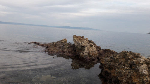 Shore; Publicdomain; Cc0; Freeimage;.jpg