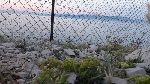 Shore; Publicdomain; Cc0; Freeimage;.jpg