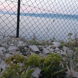 Shore; Publicdomain; Cc0; Freeimage;