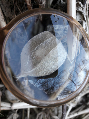 Lens; Publicdomain; Cc0; Freeimage;.jpg