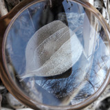 Lens; Publicdomain; Cc0; Freeimage;