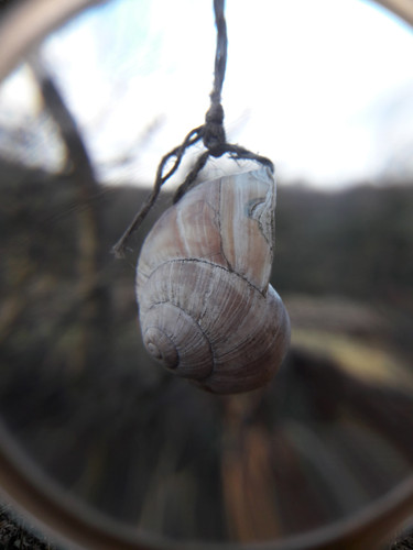 Lens; Publicdomain; Cc0; Freeimage;.jpg