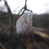 Lens; Publicdomain; Cc0; Freeimage;