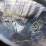 Lens; Publicdomain; Cc0; Freeimage;