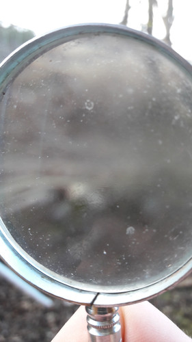 Lens; Publicdomain; Cc0; Freeimage;.jpg