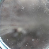 Lens; Publicdomain; Cc0; Freeimage;