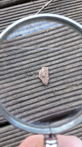 Lens; Publicdomain; Cc0; Freeimage;.jpg