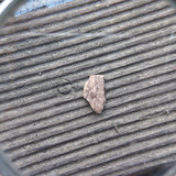 Lens; Publicdomain; Cc0; Freeimage;