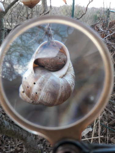 Lens; Publicdomain; Cc0; Freeimage;.jpg