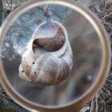 Lens; Publicdomain; Cc0; Freeimage;