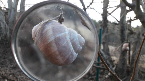 Lens; Publicdomain; Cc0; Freeimage;.jpg