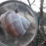 Lens; Publicdomain; Cc0; Freeimage;