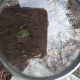 Lens; Publicdomain; Cc0; Freeimage;