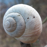 Lens; Publicdomain; Cc0; Freeimage;