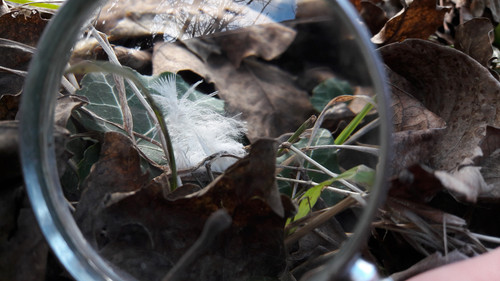 Lens; Publicdomain; Cc0; Freeimage;.jpg