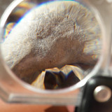 Lens; Publicdomain; Cc0; Freeimage;