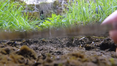 Water; Publicdomain; Cc0; Freeimage;.jpg