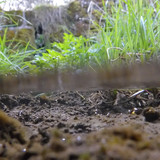 Water; Publicdomain; Cc0; Freeimage;