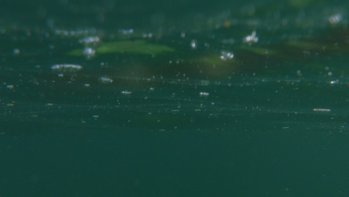 Water; Publicdomain; Cc0; Freeimage;.jpg