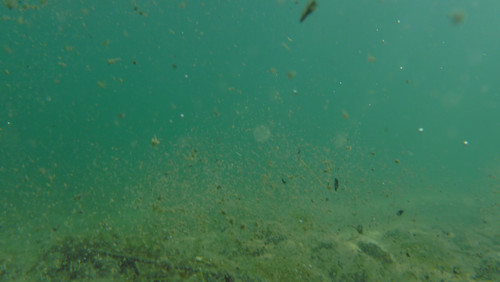 Water; Publicdomain; Cc0; Freeimage;.jpg