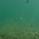 Water; Publicdomain; Cc0; Freeimage;