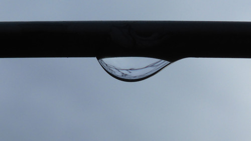 Waters Droplets Drops Wet Publicdomain (32).jpg