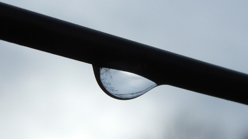 Waters Droplets Drops Wet Publicdomain (31).jpg