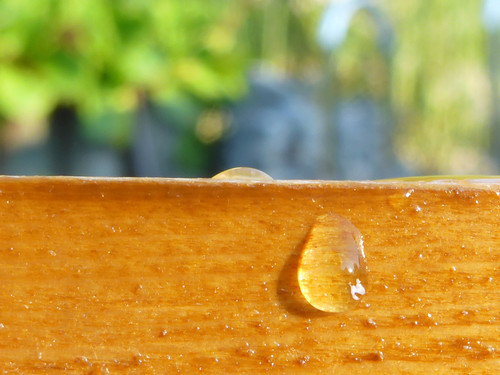 Waters Droplets Drops Wet Publicdomain (22).jpg