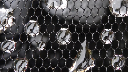 Waters Droplets Drops Wet Publicdomain (26).jpg