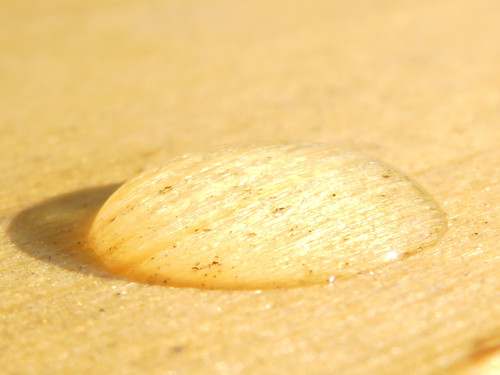 Waters Droplets Drops Wet Publicdomain (20).jpg