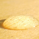 Waters Droplets Drops Wet Publicdomain (20)