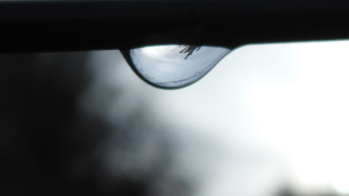 Waters Droplets Drops Wet Publicdomain (30).jpg