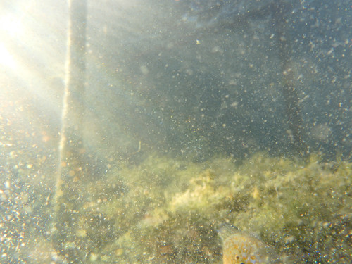 Water; Publicdomain; Cc0; Freeimage;.jpg