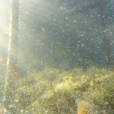 Water; Publicdomain; Cc0; Freeimage;