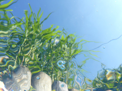 Water; Publicdomain; Cc0; Freeimage;.jpg