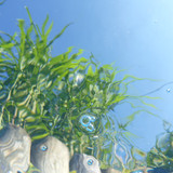 Water; Publicdomain; Cc0; Freeimage;