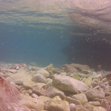 Water; Publicdomain; Cc0; Freeimage;