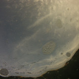 Water; Publicdomain; Cc0; Freeimage;