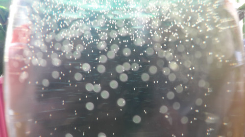 Bubbles; Publicdomain; Cc0; Freeimage;.jpg